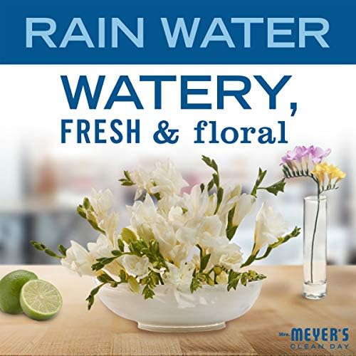 Mrs. MEYER'S CLEAN DAY Rainwater Scent Variety Pack, Liquid Hand Soap 12.5 Fl Oz, Multi-Surface Cleaner 16 Fl Oz, Room Freshener 8 Fl Oz, Dish Soap 16 Fl Oz, 1 CT