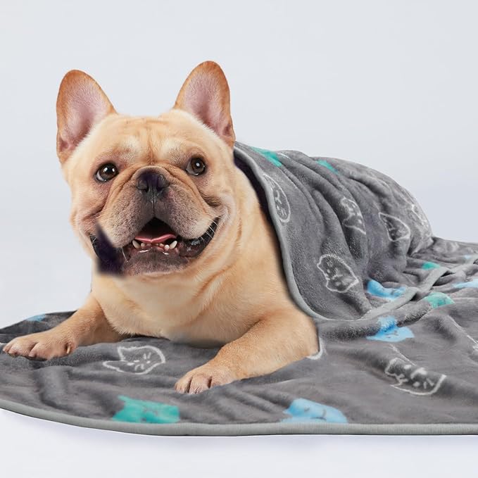 1 Pack 3 Blankets Super Soft Fluffy Premium Cute Cat Pattern Pet Blanket Flannel Throw for Dog Puppy Kitten Blue/Cyan/Grey Medium(30x20 inch)